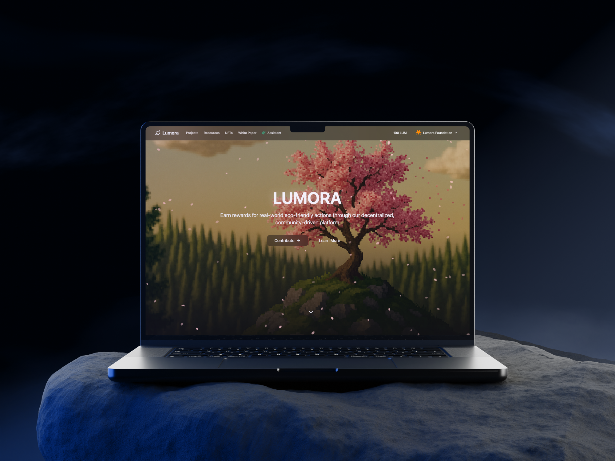 Lumora 🥇 1st place Hackathon Winner, Codefest.id
